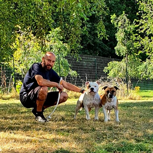Formation chien catégorisé à Besançon avec Romuald Thiriot