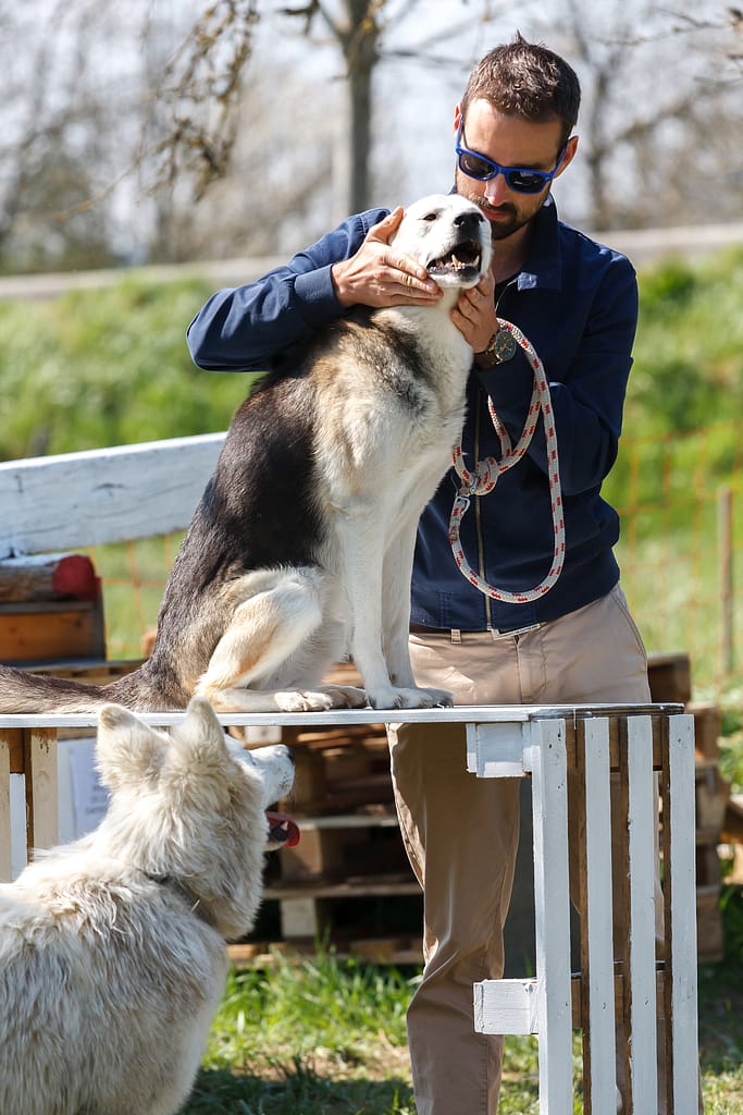 Johan Lambon, éducateur et comportementaliste canin, lors d'une séance d'accompagnement en extérieur à Besançon