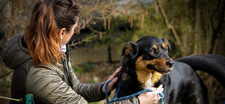 éducateur canin à Besançon séance individuelle