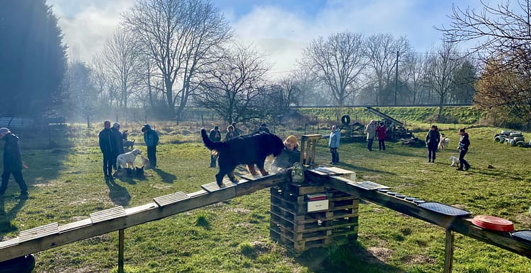 éducateur canin comportementaliste canin besançon