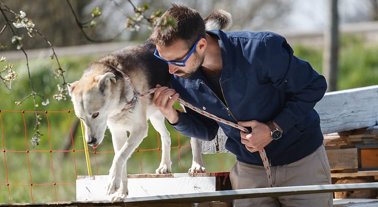 éducateur canin comportementaliste canin Besançon