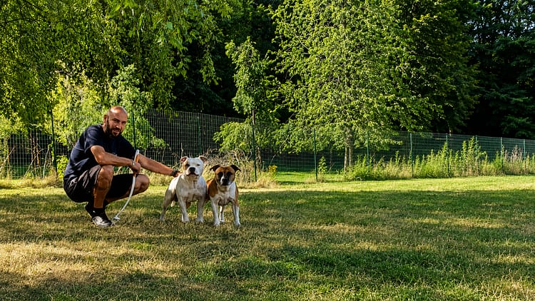 éducateur canin besançon permis détention chien de catégorie formation chien catégorie 1 et 2.