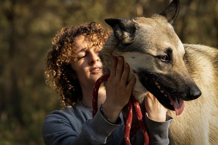 éducateur canin sur Besançon, comportementaliste du chien.