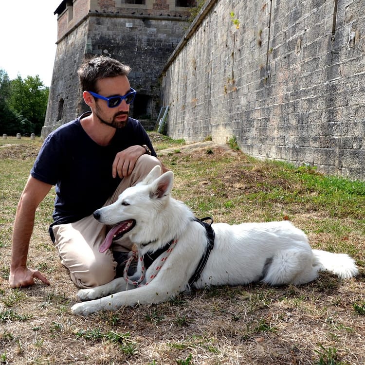 Illustration de la méthode d'éducation canine coopérative de Johan Lambon à Besançon